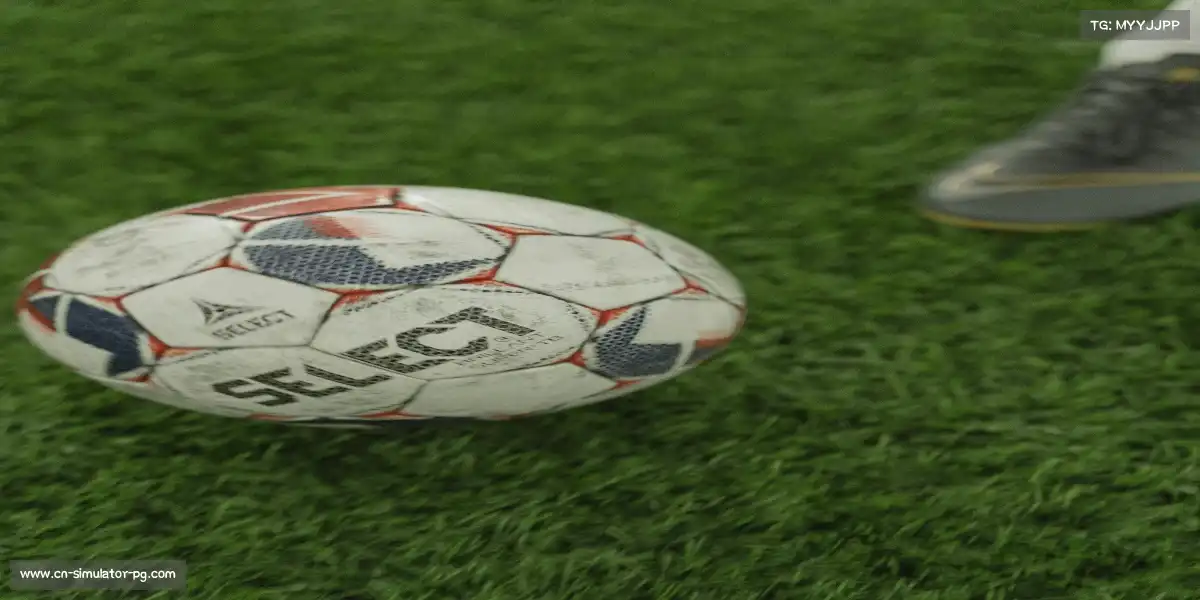 pg模拟器官网——🚣♀️🐬 八人艇齐进,海豚护航!